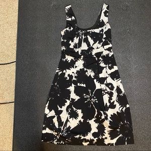 Ann Taylor Dress